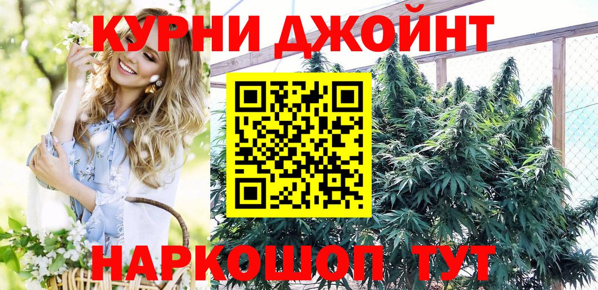Новозыбков  Марихуана индика  Вход с VPN  Шишки марихуана THC 21%  Каннабис индика  МАРИХУАНА марихуана 